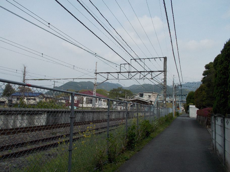 東京都内 関東近郊 おすすめ散歩スポット コースでプチ旅気分 東京都内つつじ穴場散歩 Gwは混雑を避けマイナースポットへ 海禅寺と愛宕神社 二つの つつじ名所 東京都青梅市14年4月29日